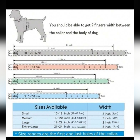 Studded collar - Picture 11 of 14